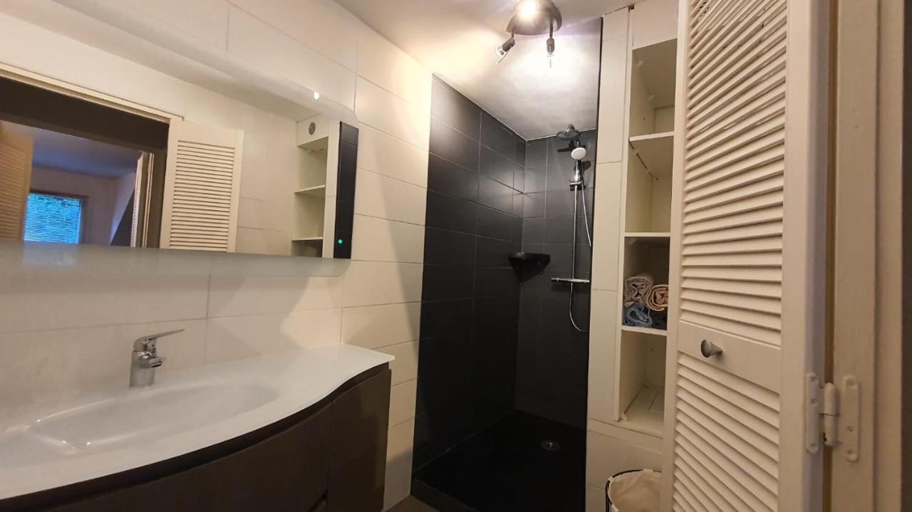 Charmant Duplex Face Au Lac Sévrier Εξωτερικό φωτογραφία