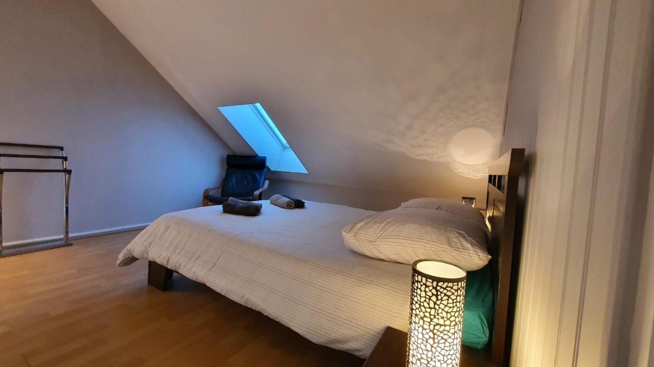 Charmant Duplex Face Au Lac Sévrier Εξωτερικό φωτογραφία